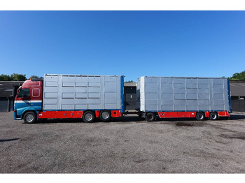 Camión transporte de ganado VOLVO FH13 480