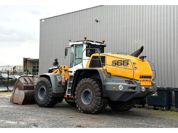 Cargadora de ruedas Liebherr L 566 X POWER/ BJ 2022: foto 2 Cargadora de ruedas Liebherr L 566 X POWER/ BJ 2022: foto 2