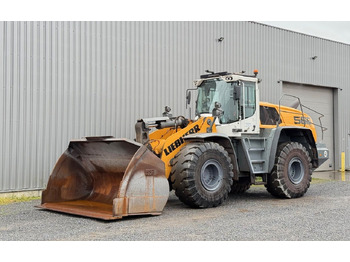 Cargadora de ruedas Liebherr L 566 X POWER/ BJ 2022: foto 5 Cargadora de ruedas Liebherr L 566 X POWER/ BJ 2022: foto 5
