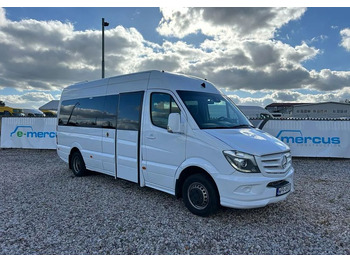 Minibús, Furgoneta de pasajeros Mercedes-Benz Sprinter 519: foto 2