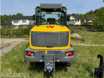 Cargadora de ruedas 2023 Wacker Neuson WL70 hjullaster / Skuffe / Pallegafler: foto 5