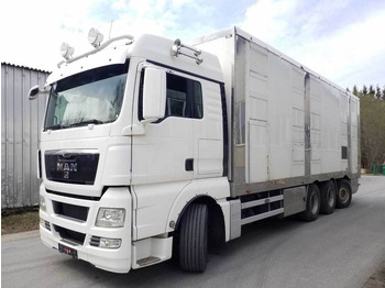 Camión transporte de ganado MAN TGX