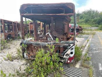 Autobús urbano IVECO