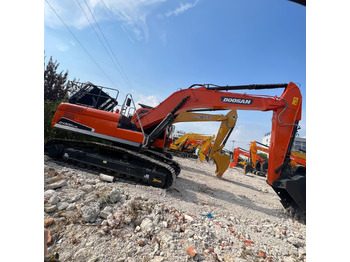 Excavadora de cadenas DOOSAN DX300: foto 2