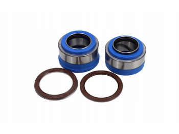 Suspensión DAF XF 95