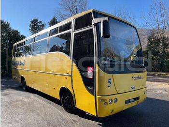Autobús escolar IVECO