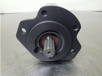 Hidráulica para Maquinaria de construcción nuevo Rexroth B510 H45 250-1515800013-Gearpump/Zahnradpumpe: foto 4