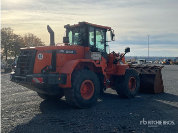 Cargadora de ruedas 2016 Doosan DL250-3 Wheel Loader: foto 3