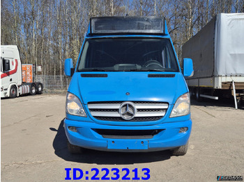Autocar MERCEDES-BENZ Sprinter 316 VIP Euro5: foto 2