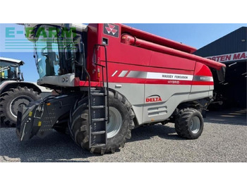 Cosechadora de granos MASSEY FERGUSON