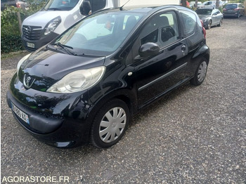 Coche PEUGEOT