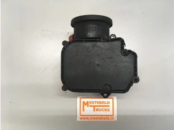 : imagen de cabecera