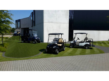 Carrito de golf CLUB CAR