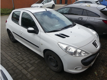 Coche PEUGEOT