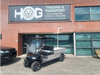 Carrito de golf