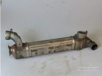 Enfriador EGR DAF