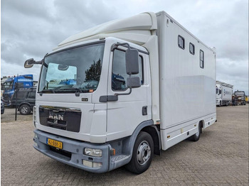 Camión para caballos MAN TGL 12.250