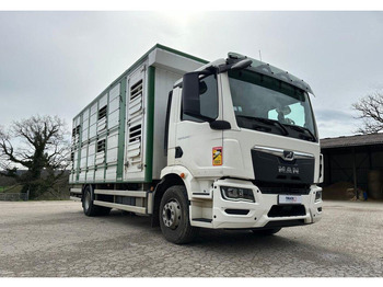 Camión transporte de ganado MAN TGM 15.290