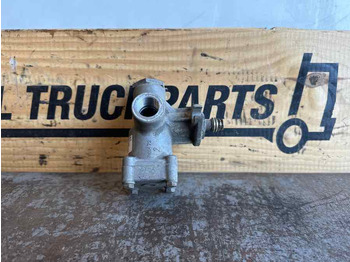 : imagen de cabecera