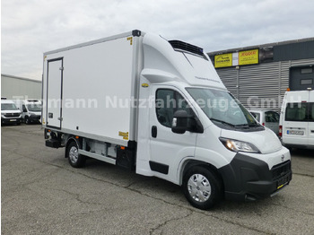 Furgoneta frigorifica TOYOTA Proace