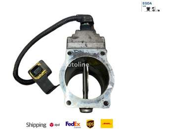 : imagen de cabecera