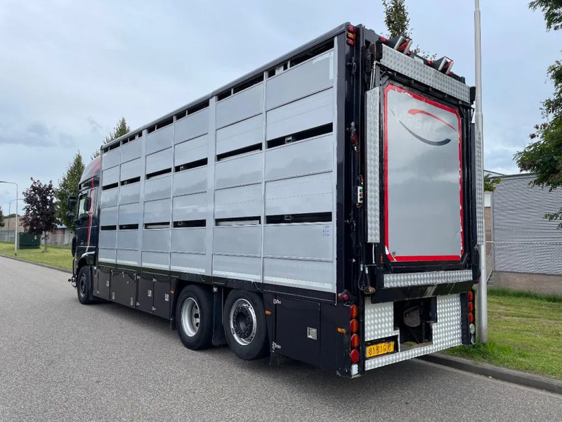 DAF XF 460 2017 berdex 3 lagen varkens - Camión transporte de ganado: foto 2 DAF XF 460 2017 berdex 3 lagen varkens - Camión transporte de ganado: foto 2