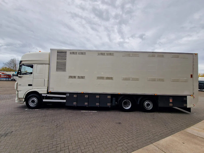 DAF XF 440 SuperSpaceCab 6x2*4 - 2 deck Closed Livestock - 40M2 - Filtersystem - Camión transporte de ganado: foto 4 DAF XF 440 SuperSpaceCab 6x2*4 - 2 deck Closed Livestock - 40M2 - Filtersystem - Camión transporte de ganado: foto 4