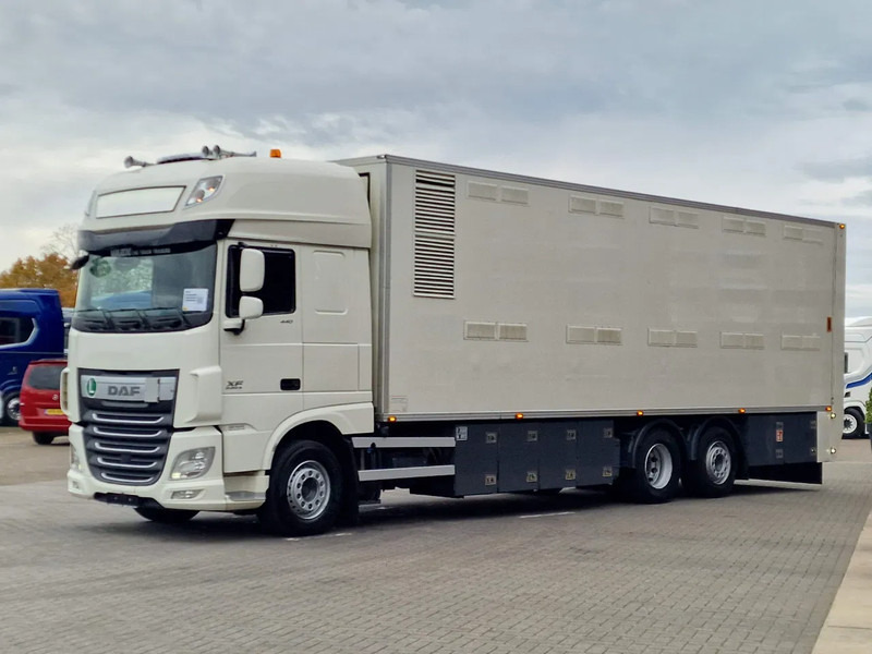 DAF XF 440 SuperSpaceCab 6x2*4 - 2 deck Closed Livestock - 40M2 - Filtersystem - Camión transporte de ganado: foto 3 DAF XF 440 SuperSpaceCab 6x2*4 - 2 deck Closed Livestock - 40M2 - Filtersystem - Camión transporte de ganado: foto 3