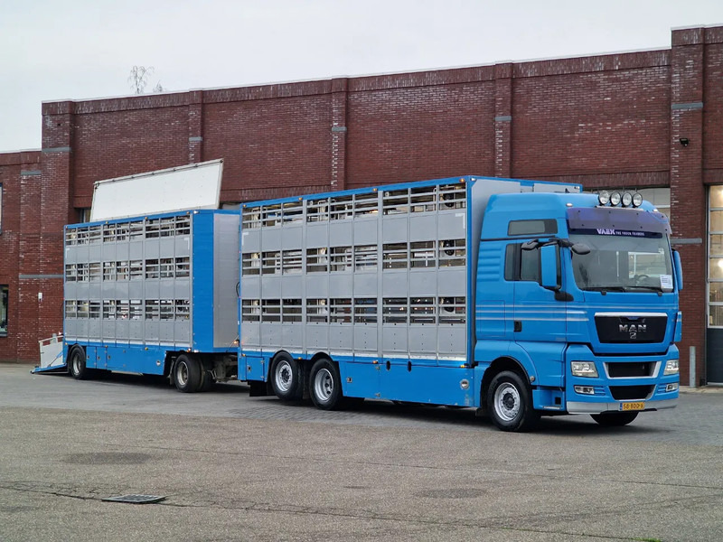 MAN TGX 26.440 6x2*4 - 3 deck Livestock - Water & Ventilation + Jumbo/Bekkers 3 deck trailer - Camión transporte de ganado: foto 1 MAN TGX 26.440 6x2*4 - 3 deck Livestock - Water & Ventilation + Jumbo/Bekkers 3 deck trailer - Camión transporte de ganado: foto 1