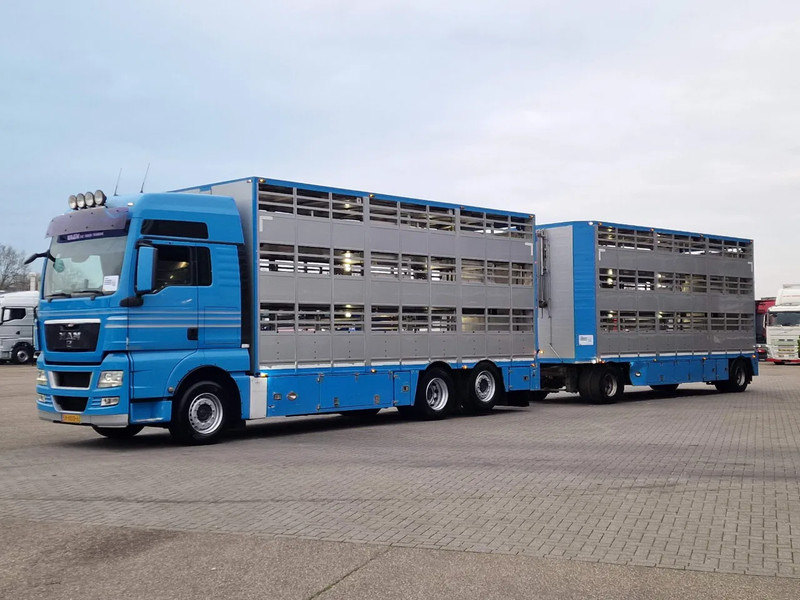 MAN TGX 26.440 6x2*4 - 3 deck Livestock - Water & Ventilation + Jumbo/Bekkers 3 deck trailer - Camión transporte de ganado: foto 4 MAN TGX 26.440 6x2*4 - 3 deck Livestock - Water & Ventilation + Jumbo/Bekkers 3 deck trailer - Camión transporte de ganado: foto 4