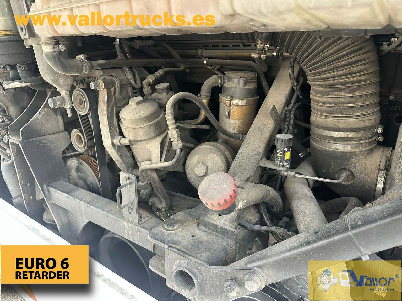 MAN LION´S REGIO L - Autobús escolar: foto 5 MAN LION´S REGIO L - Autobús escolar: foto 5