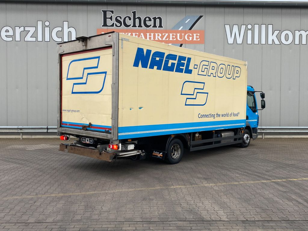 DAF LF 230 Thermo-King T800R*Diesel/Netz*2Verdampfer - Camión frigorífico: foto 5 DAF LF 230 Thermo-King T800R*Diesel/Netz*2Verdampfer - Camión frigorífico: foto 5