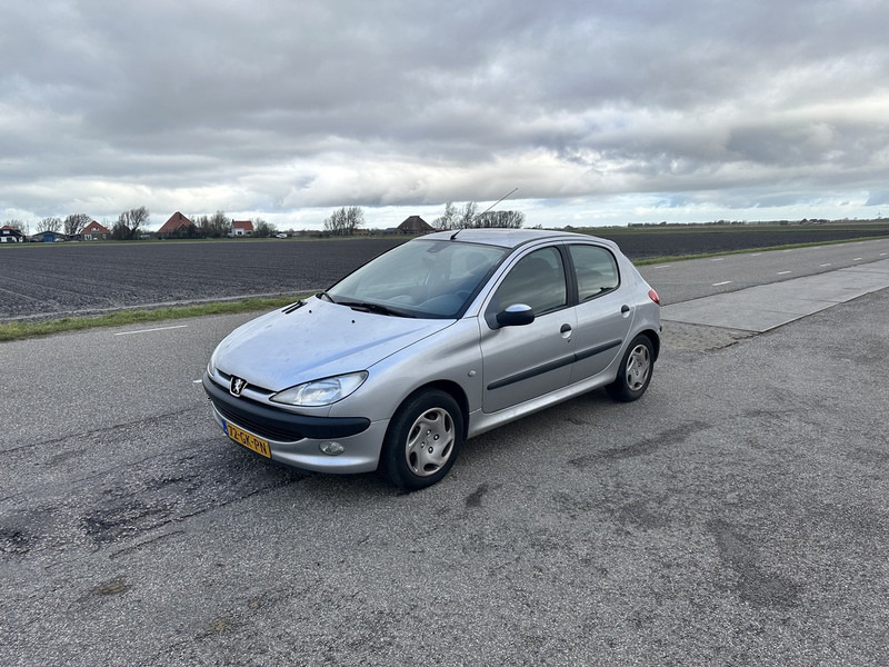 Peugeot 206 - Coche: foto 1 Peugeot 206 - Coche: foto 1