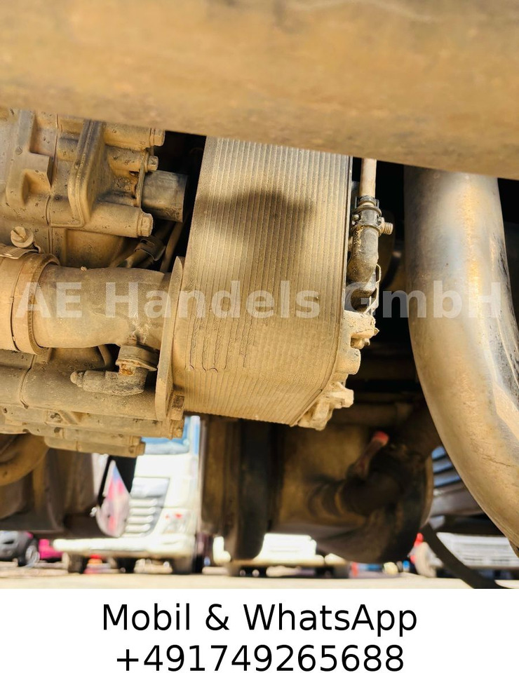 Cabeza tractora nuevo DAF XF 530 SC BL PXP 4x4 *Retarder/Hydr./Standklima: foto 12