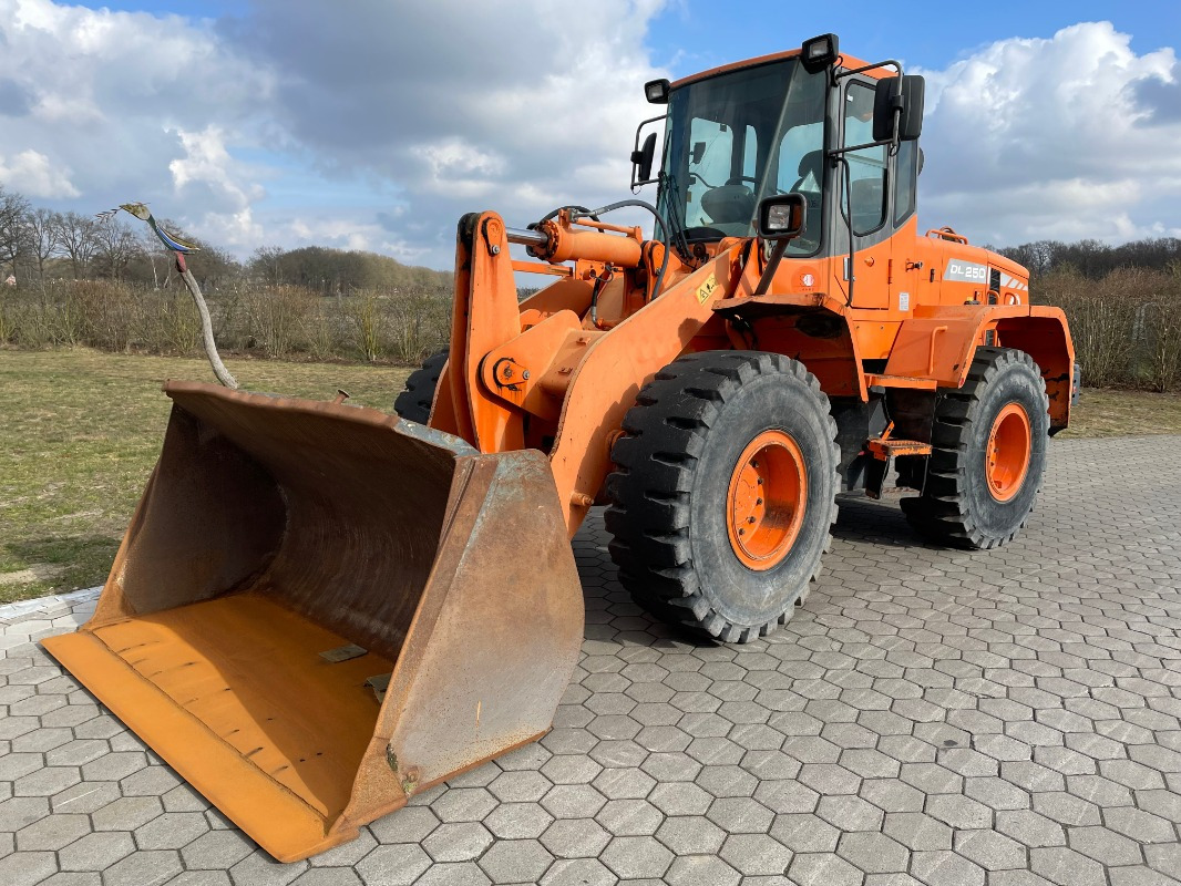 Doosan DL250 - Cargadora de ruedas: foto 1 Doosan DL250 - Cargadora de ruedas: foto 1