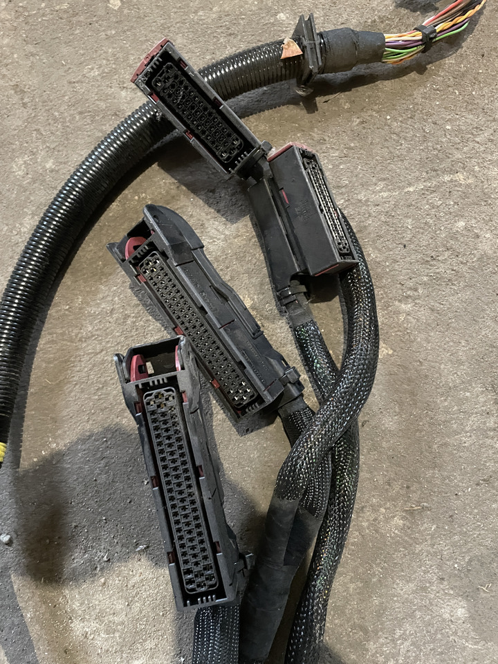 Claas Jaguar 880-830 980-930 - wiązka elektryczna kabiny 0018110206 - Cables/ Alambres para Cosechadora de forraje: foto 4 Claas Jaguar 880-830 980-930 - wiązka elektryczna kabiny 0018110206 - Cables/ Alambres para Cosechadora de forraje: foto 4