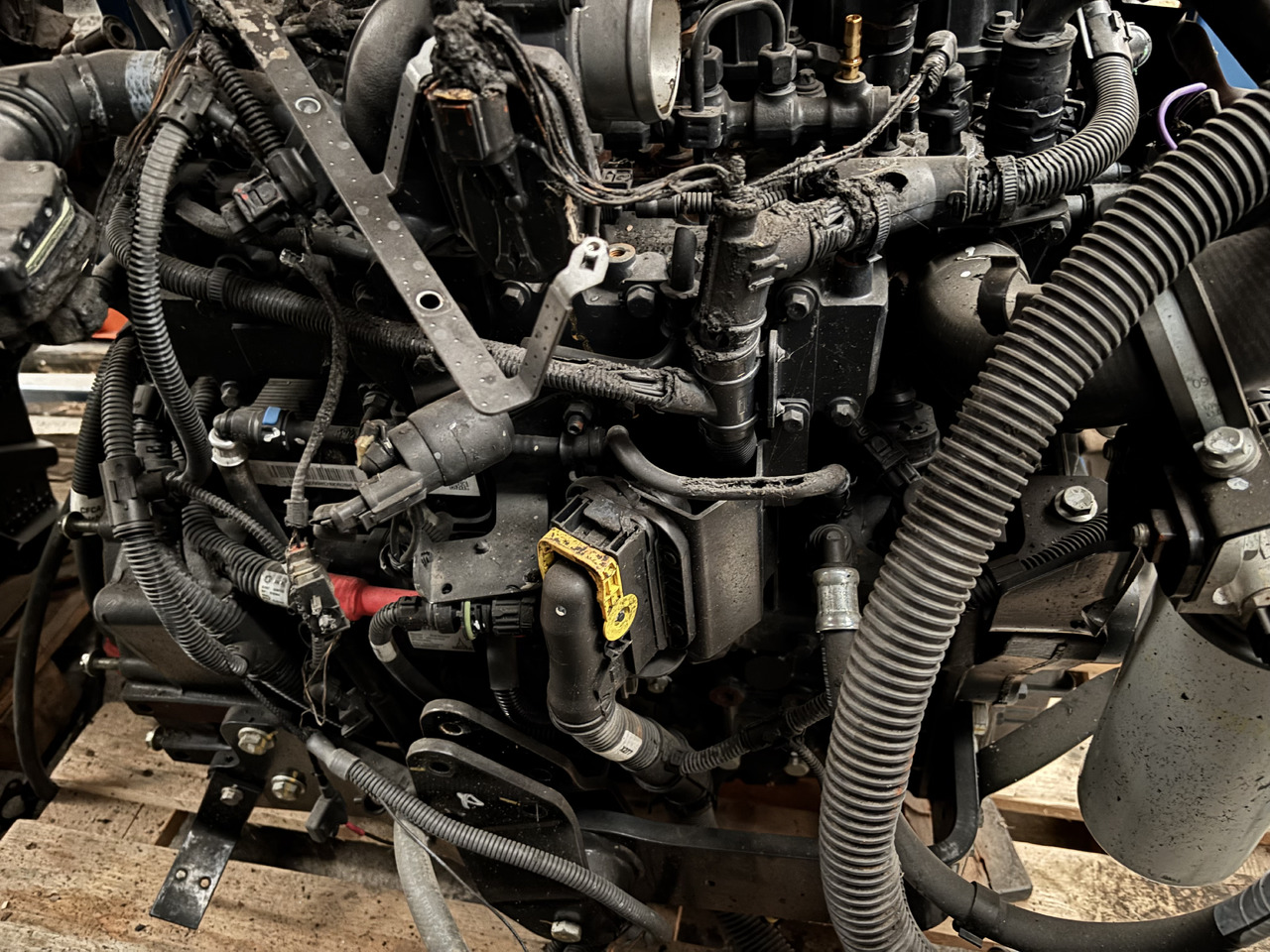 DEUTZ 3.6 75 KM (55.4 kW) Silnik CZĘŚCI Manitou MT1033TCD3.6L04 MT 1033 TCD 3.6 L04 C4DI90 - Motor y piezas para Maquinaria de construcción: foto 4 DEUTZ 3.6 75 KM (55.4 kW) Silnik CZĘŚCI Manitou MT1033TCD3.6L04 MT 1033 TCD 3.6 L04 C4DI90 - Motor y piezas para Maquinaria de construcción: foto 4