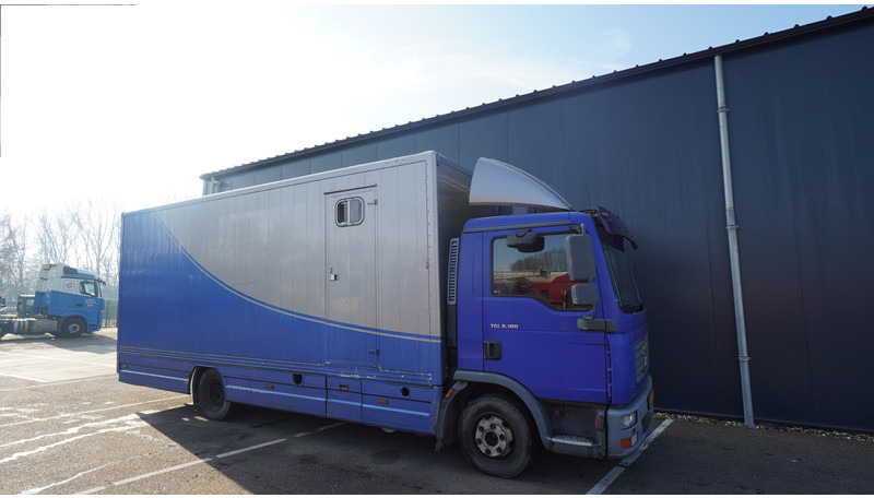 MAN TGL 8.180 HORSE TRANPORT 515.000KM - Camión para caballos: foto 4 MAN TGL 8.180 HORSE TRANPORT 515.000KM - Camión para caballos: foto 4