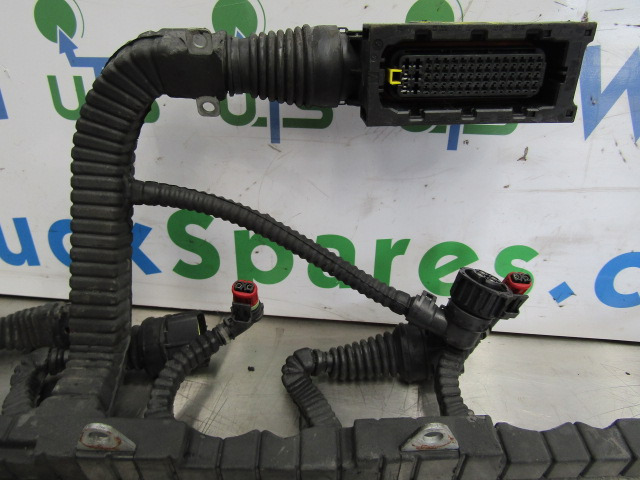 DAF XF 105 PACCAR INJECTOR/ECU HARNESS P/NO 1696501/00 - Sistema eléctrico para Camión: foto 2 DAF XF 105 PACCAR INJECTOR/ECU HARNESS P/NO 1696501/00 - Sistema eléctrico para Camión: foto 2