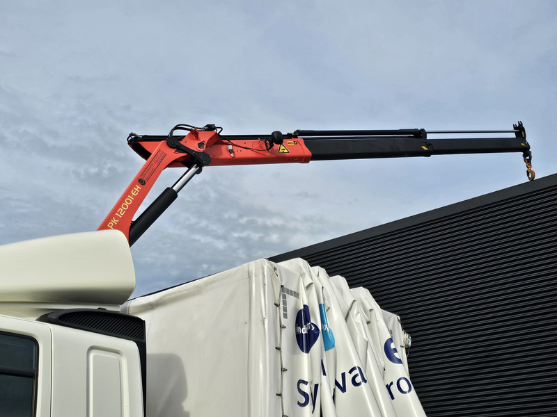 DAF CF 330 6x2 / PALFINGER CRANE / KRAN / CURTAIN - Camión grúa: foto 2 DAF CF 330 6x2 / PALFINGER CRANE / KRAN / CURTAIN - Camión grúa: foto 2