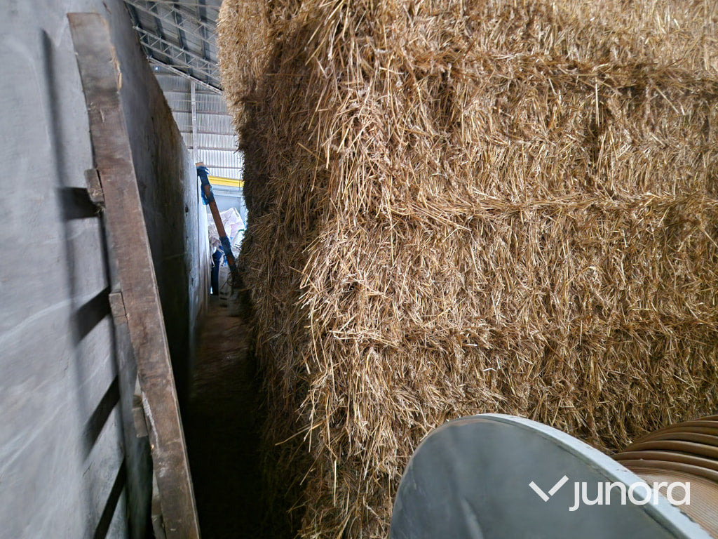 Vetehalm - 2022 - Maquinaria ganadera: foto 2 Vetehalm - 2022 - Maquinaria ganadera: foto 2