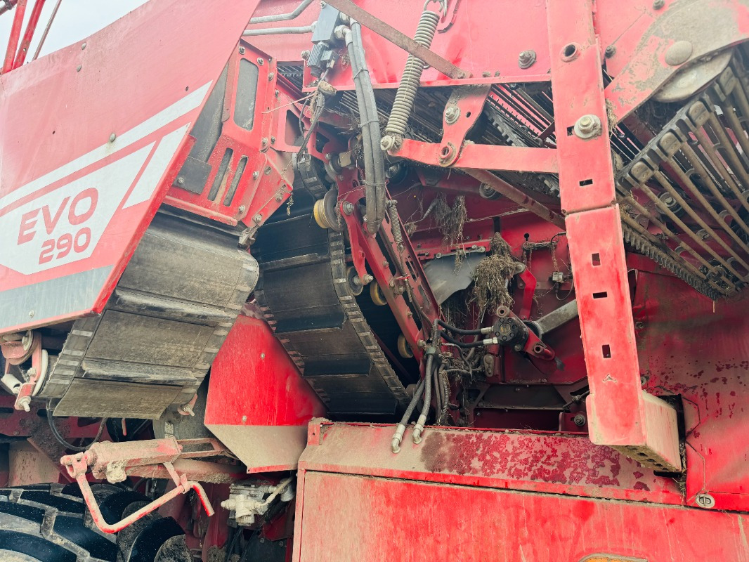 Arrancadora de patatas GRIMME EVO 290 AirSep: foto 9