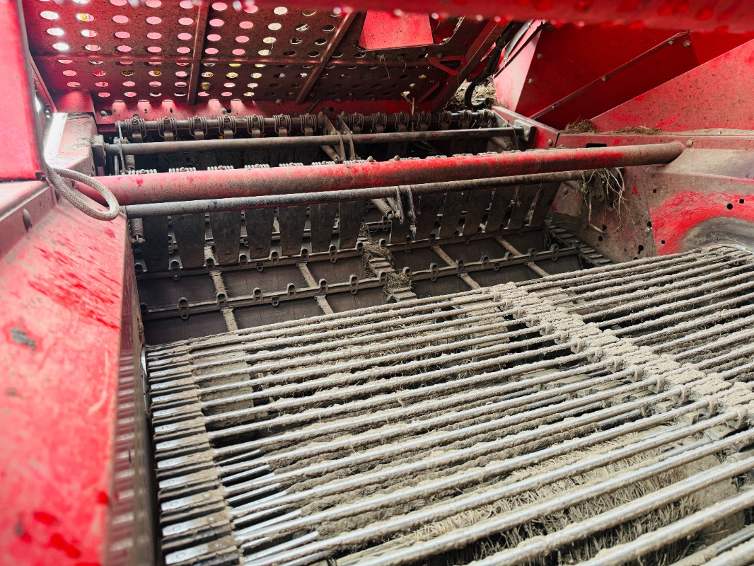 Arrancadora de patatas GRIMME EVO 290 AirSep: foto 12
