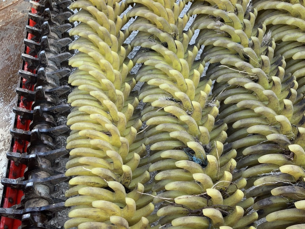 Grimme CS-170 RP XL - Arrancadora de patatas: foto 5 Grimme CS-170 RP XL - Arrancadora de patatas: foto 5