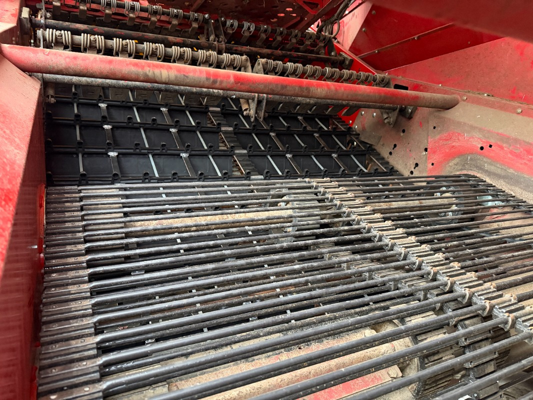 Arrancadora de patatas Grimme EVO 290 AirSep: foto 9