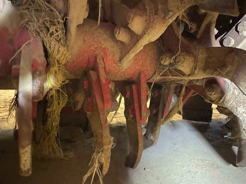 Grimme RT 300 - Cosechadora: foto 3 Grimme RT 300 - Cosechadora: foto 3