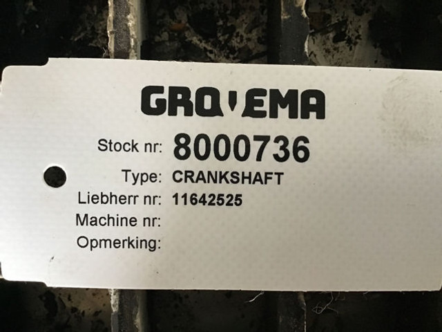 Liebherr Crankshaft - Cigüeñal: foto 3 Liebherr Crankshaft - Cigüeñal: foto 3