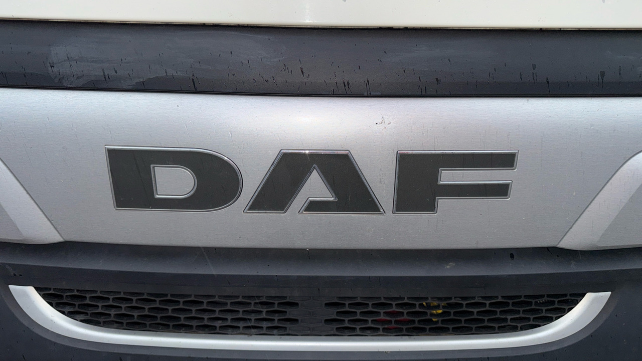 Camión lona DAF LF 180: foto 19