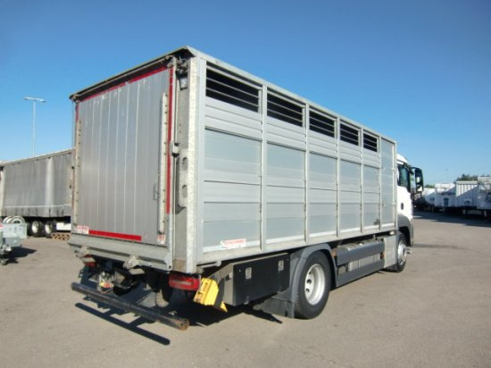 MAN TGS 18.420 Tiertransporter,Euro 6, Manual Seilwinde, el. Ladebordwand Voll Luft - Camión para caballos: foto 4 MAN TGS 18.420 Tiertransporter,Euro 6, Manual Seilwinde, el. Ladebordwand Voll Luft - Camión para caballos: foto 4
