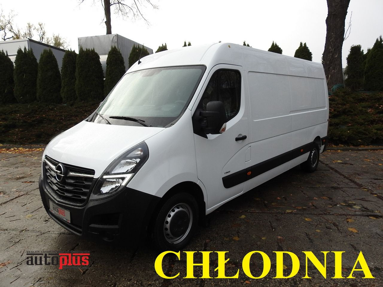 OPEL MOVANO REFRIGERATOR VAN 0*C CRUISE CONTROL LED LIGHTS AIR CONDITIONING 136HP - Furgoneta frigorifica: foto 1 OPEL MOVANO REFRIGERATOR VAN 0*C CRUISE CONTROL LED LIGHTS AIR CONDITIONING 136HP - Furgoneta frigorifica: foto 1